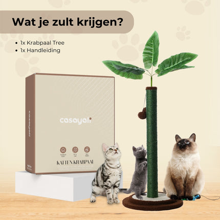 krabpaal
krabpaal voor katten
krabpaal kat
krabpaal katten
krabpaal voor grote katten
kattenkrabpaal
krabpaal grote kat
krabton
krabpaal grote katten
krabpalen
kattenpaal
goedkope krabpaal
krabpaal hoog
krabpaal action
petrebels krabpaal
grote krabpaal
krabpaal grote katten outlet
krabton kat
krabpaal maine coon
krabpaal zwart