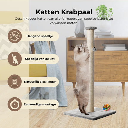 krabpaal
krabpaal voor katten
krabpaal kat
krabpaal katten
krabpaal voor grote katten
kattenkrabpaal
krabpaal grote kat
krabton
krabpaal grote katten
krabpalen
kattenpaal
goedkope krabpaal
krabpaal hoog
krabpaal action
petrebels krabpaal
grote krabpaal
krabpaal grote katten outlet
krabton kat
krabpaal maine coon
krabpaal zwart

