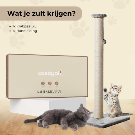 krabpaal
krabpaal voor katten
krabpaal kat
krabpaal katten
krabpaal voor grote katten
kattenkrabpaal
krabpaal grote kat
krabton
krabpaal grote katten
krabpalen
kattenpaal
goedkope krabpaal
krabpaal hoog
krabpaal action
petrebels krabpaal
grote krabpaal
krabpaal grote katten outlet
krabton kat
krabpaal maine coon
krabpaal zwart

